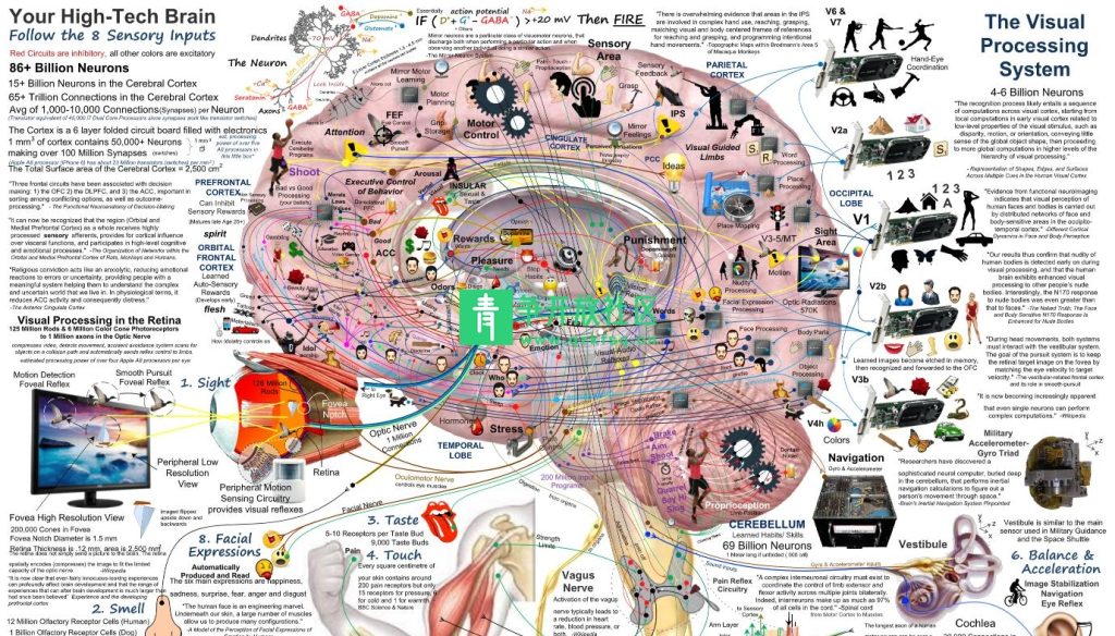 图片[1]-人类大脑功能高清图解PDF-青争开放社区