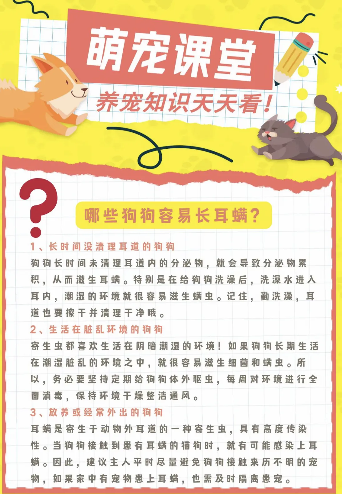 家里有宠物的小伙伴可以收藏起来-青争开放社区