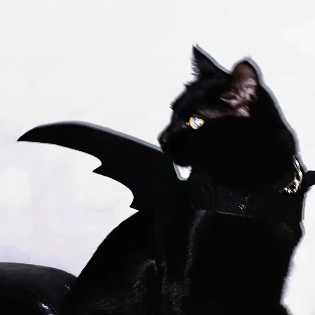 等下雪-青争开放社区