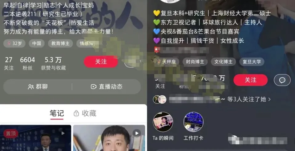 小红书轻松打造高质量账号，个人IP模板+发布最佳时间，玩法分享给你-青争开放社区