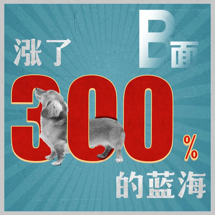 图片[2]-【经验分享】在小县城连开15家连锁后，他称霸了当地宠物市场-青争开放社区