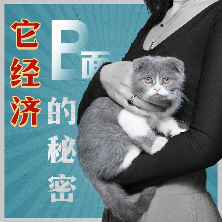 图片[4]-【经验分享】在小县城连开15家连锁后，他称霸了当地宠物市场-青争开放社区