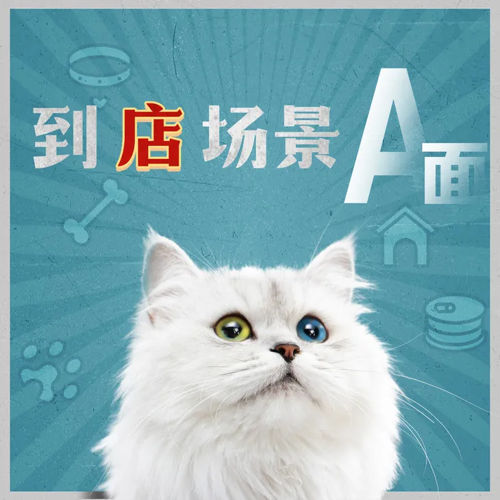 图片[5]-【经验分享】在小县城连开15家连锁后，他称霸了当地宠物市场-青争开放社区