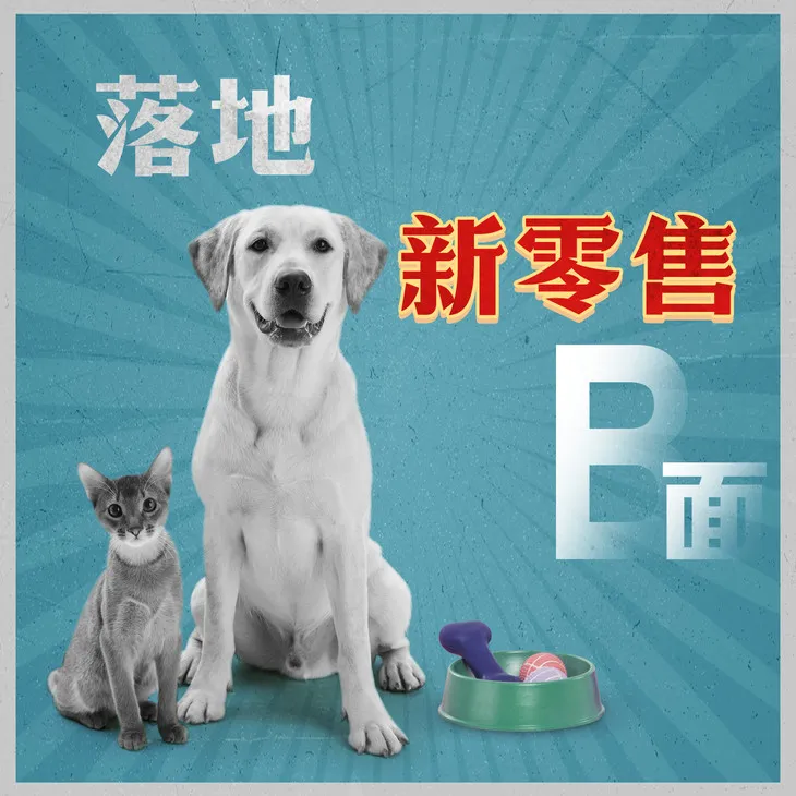 图片[6]-【经验分享】在小县城连开15家连锁后，他称霸了当地宠物市场-青争开放社区