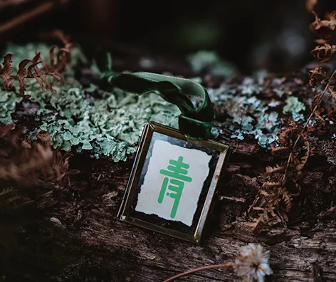 小青的温馨提示：少与人纠缠，多看大自然