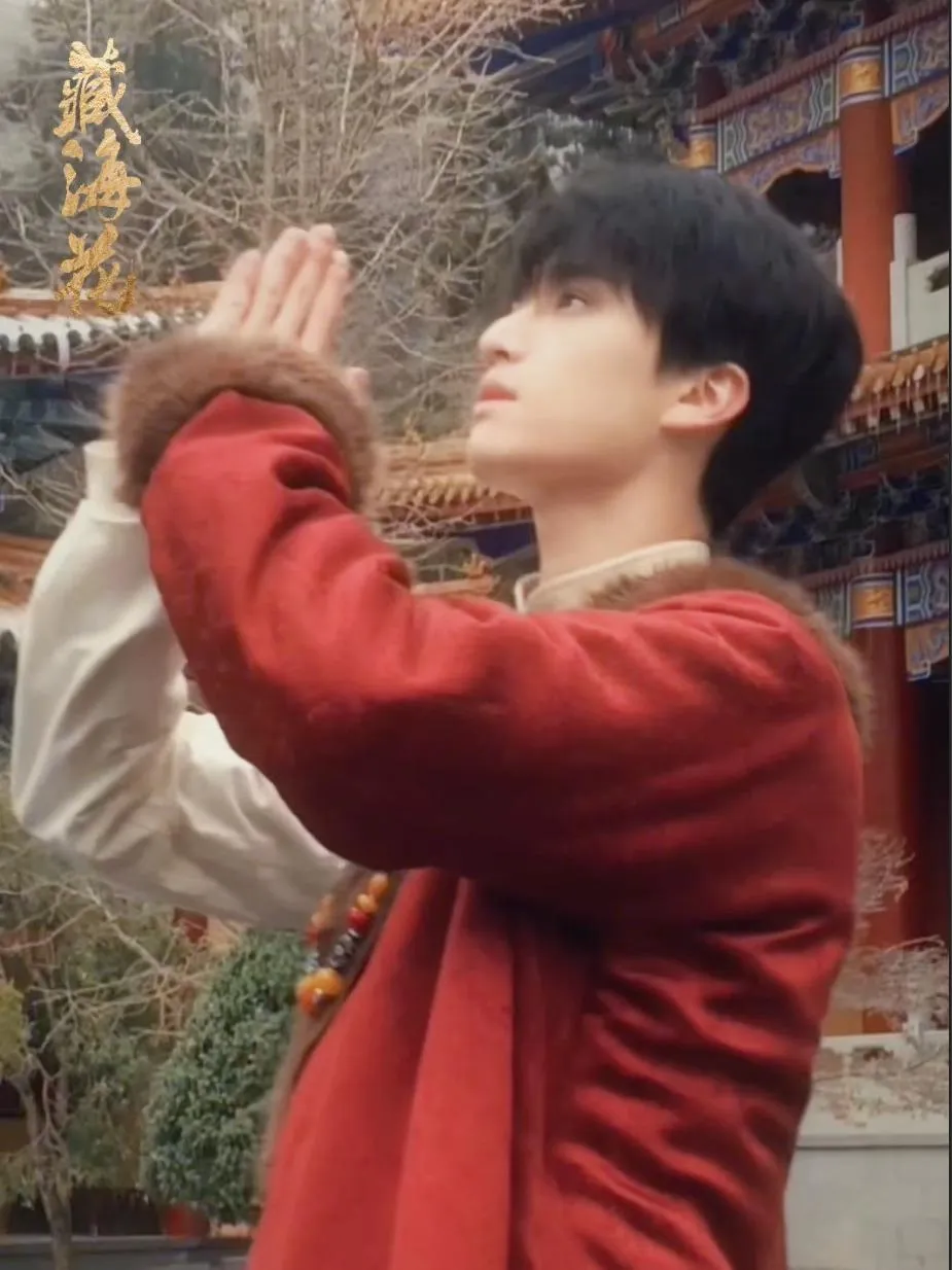 愿抵心中意难平，祝贺藏海花大结局了