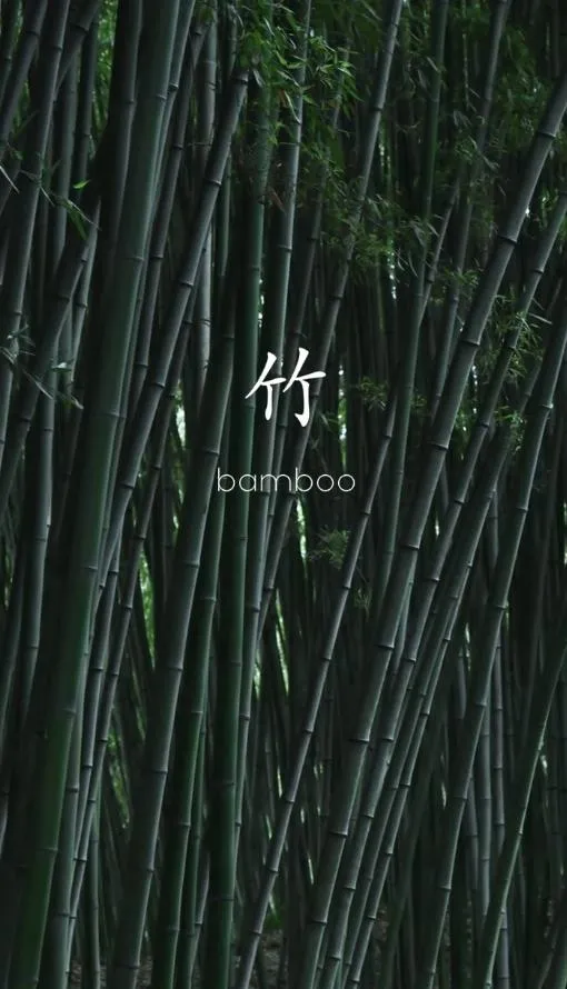 竹林