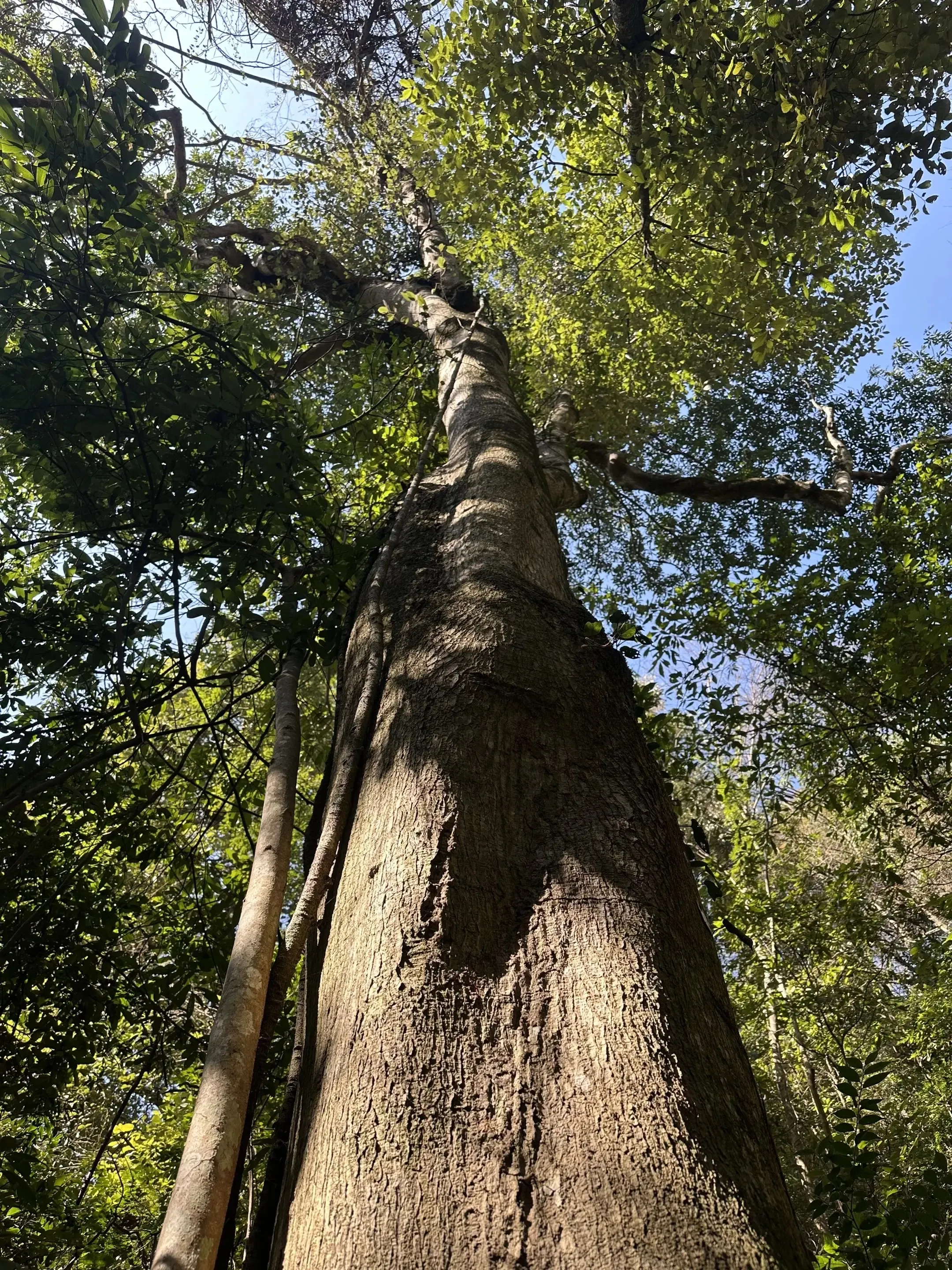 20250129105906744-IMG_6303