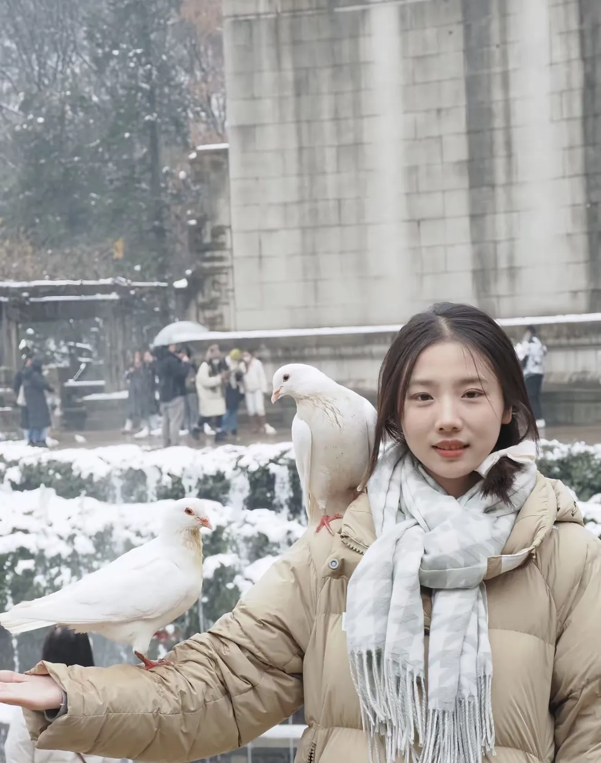 悲观主义者-青争开放社区